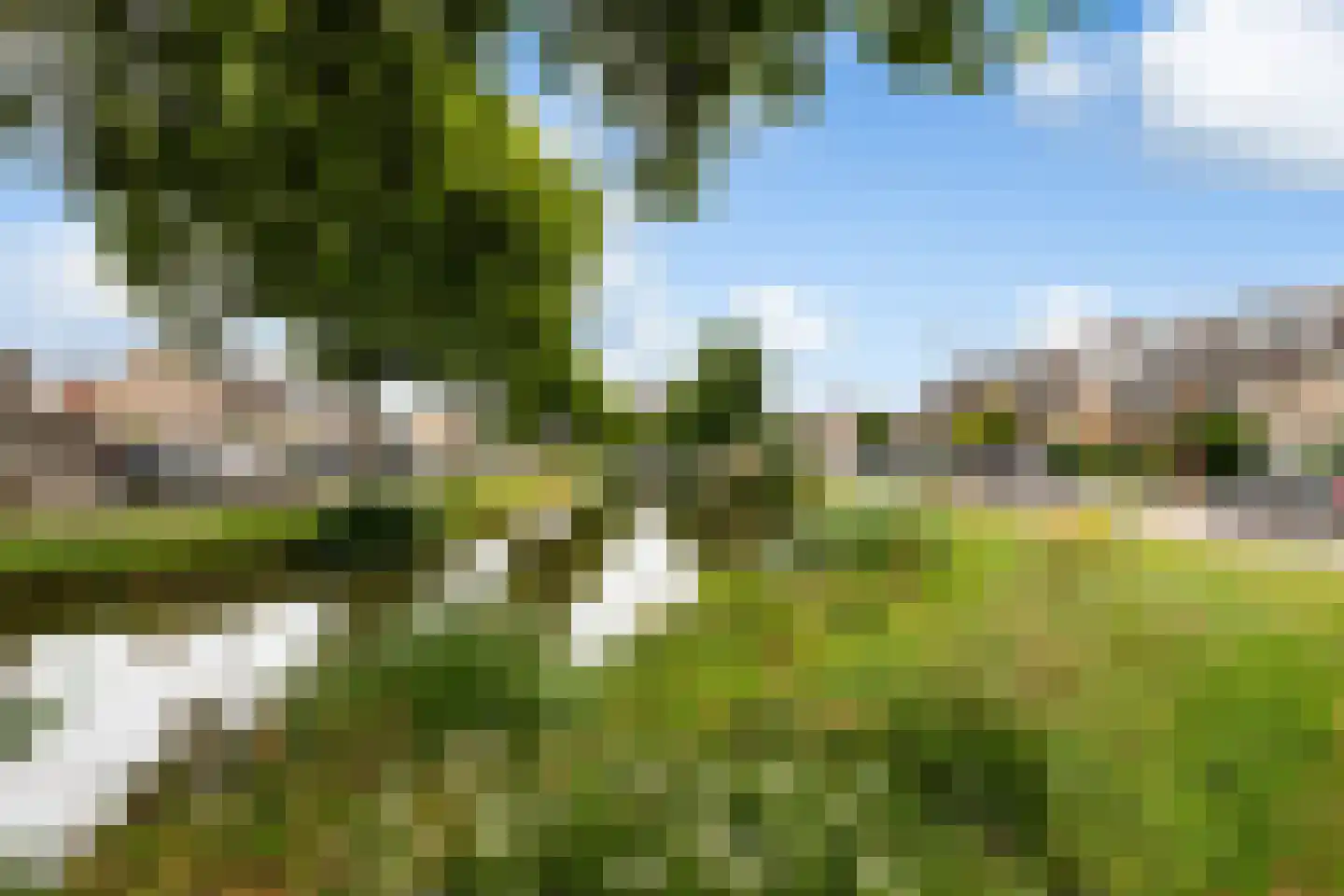 Bizetstraat 13 Capelle aan den IJssel thumbnail 5