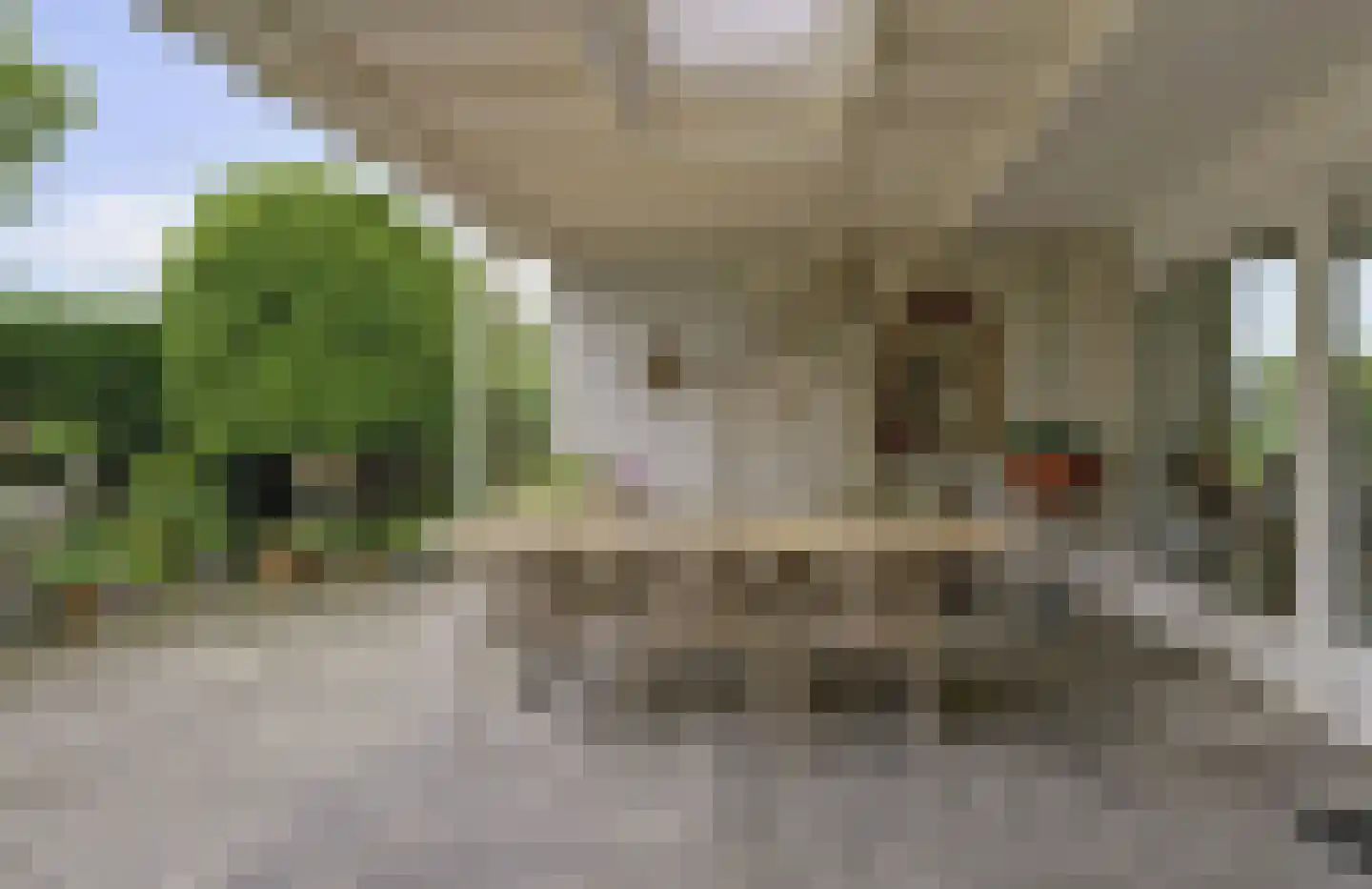 Bizetstraat 13 Elst thumbnail 10