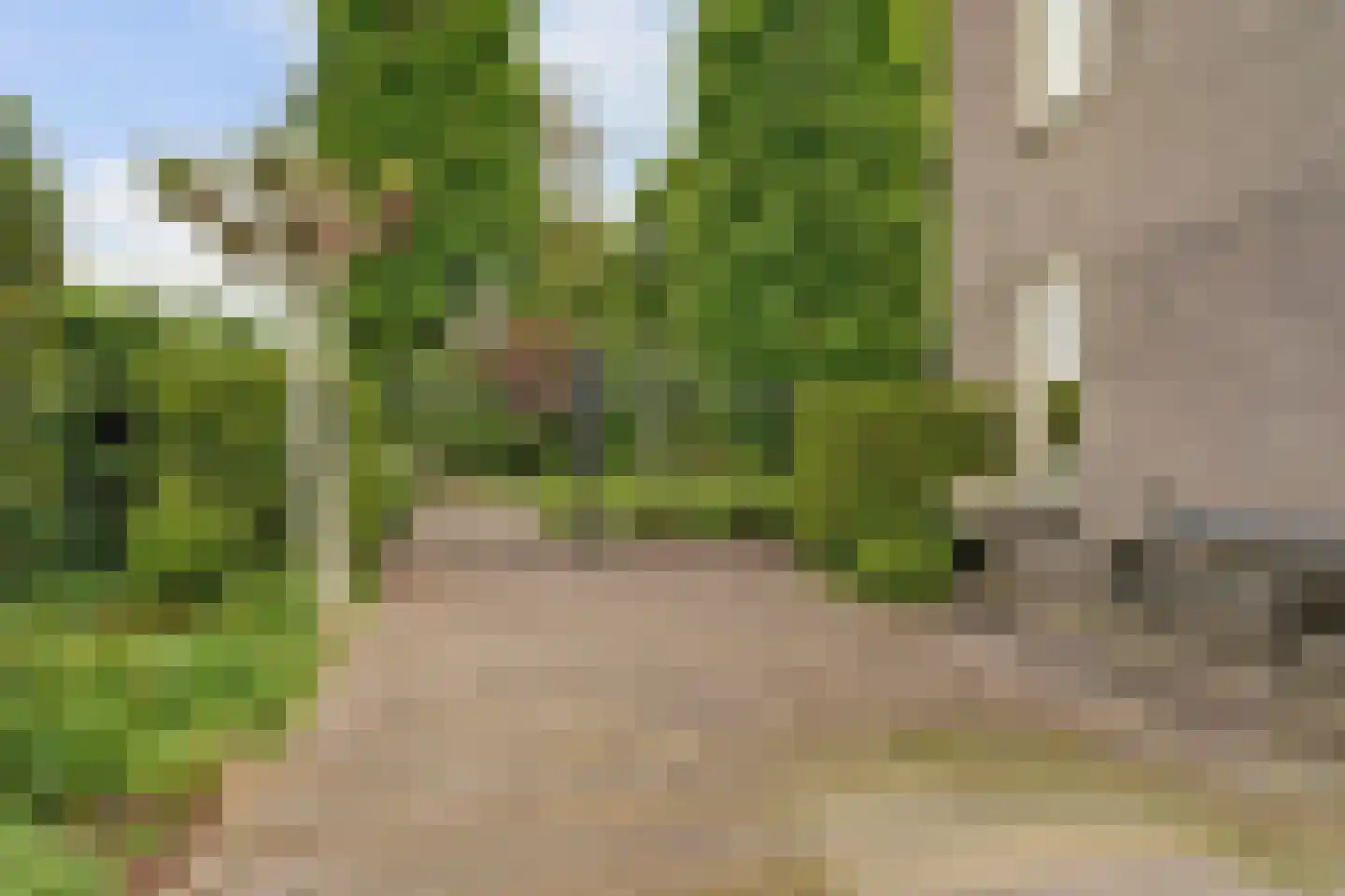 Bizetstraat 13 Elst thumbnail 11