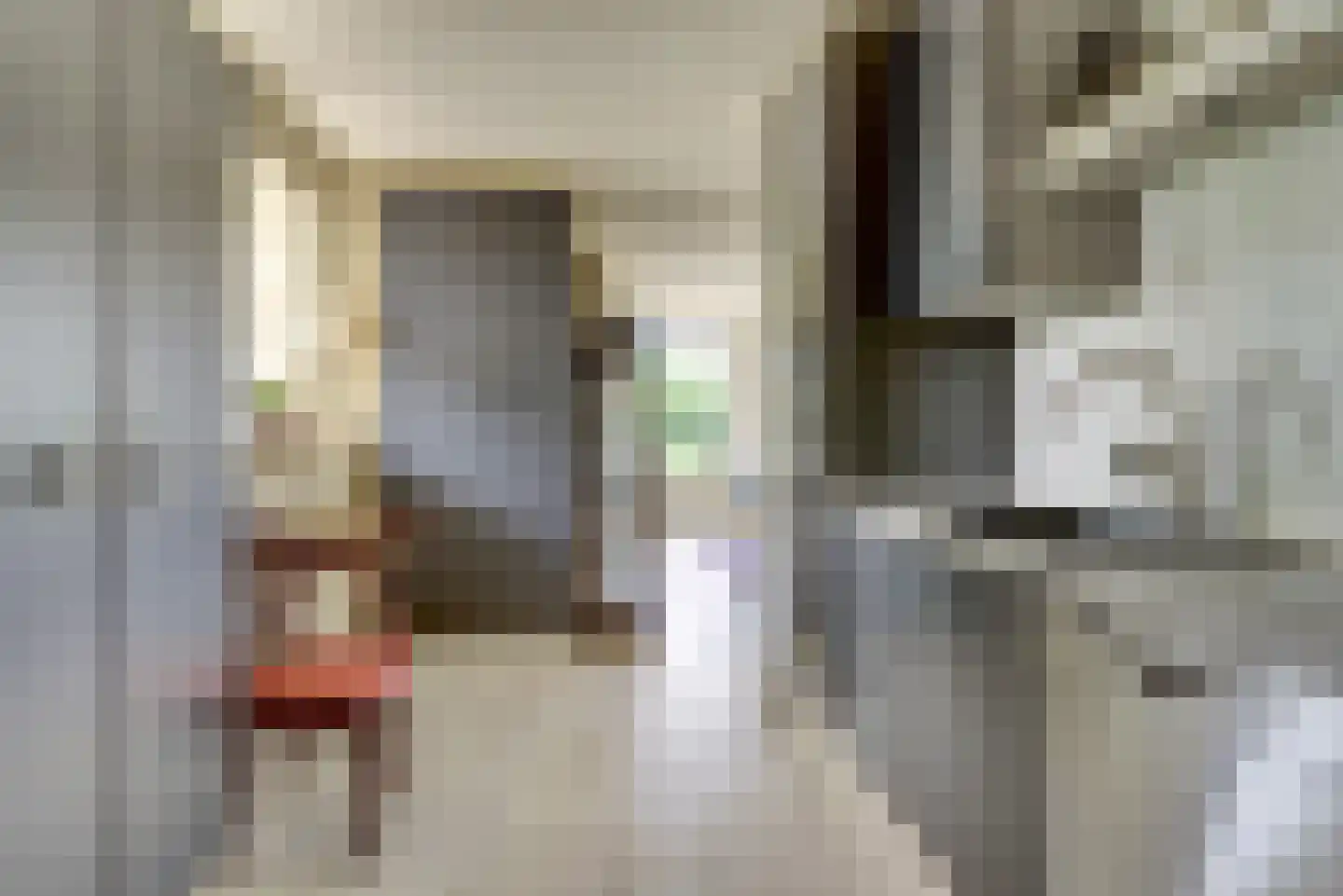 Bizetstraat 13 Elst thumbnail 19