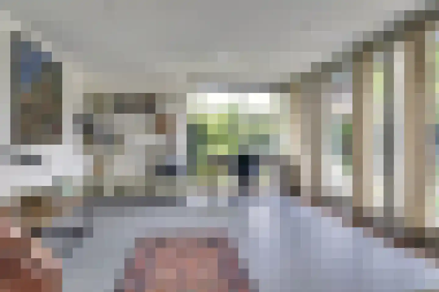 Bizetstraat 13 Elst thumbnail 21