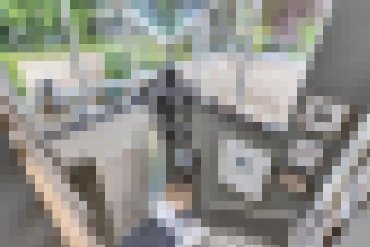 Bizetstraat 13 Elst thumbnail 30