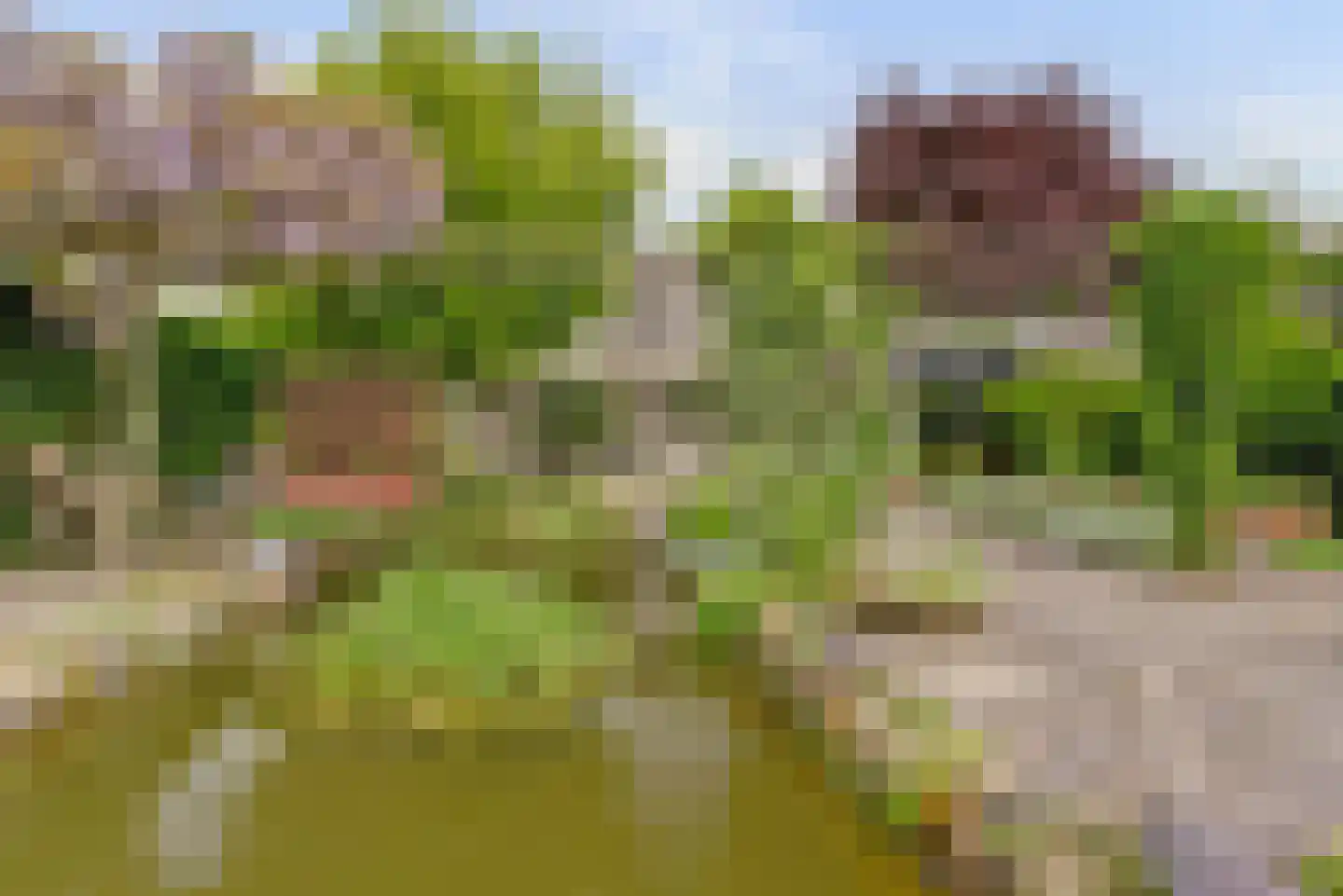 Bizetstraat 13 Elst thumbnail 4