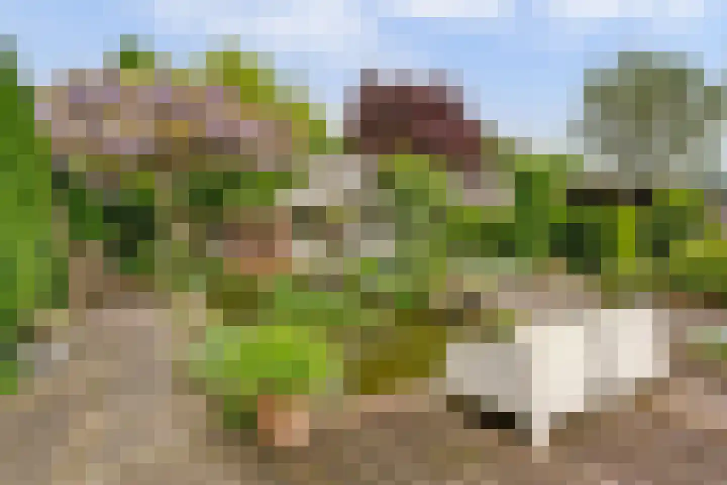 Bizetstraat 13 Elst thumbnail 5