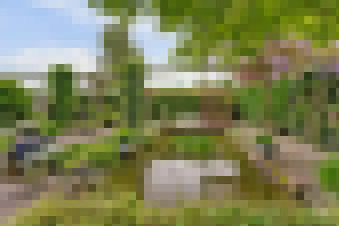Bizetstraat 13 Elst thumbnail 7