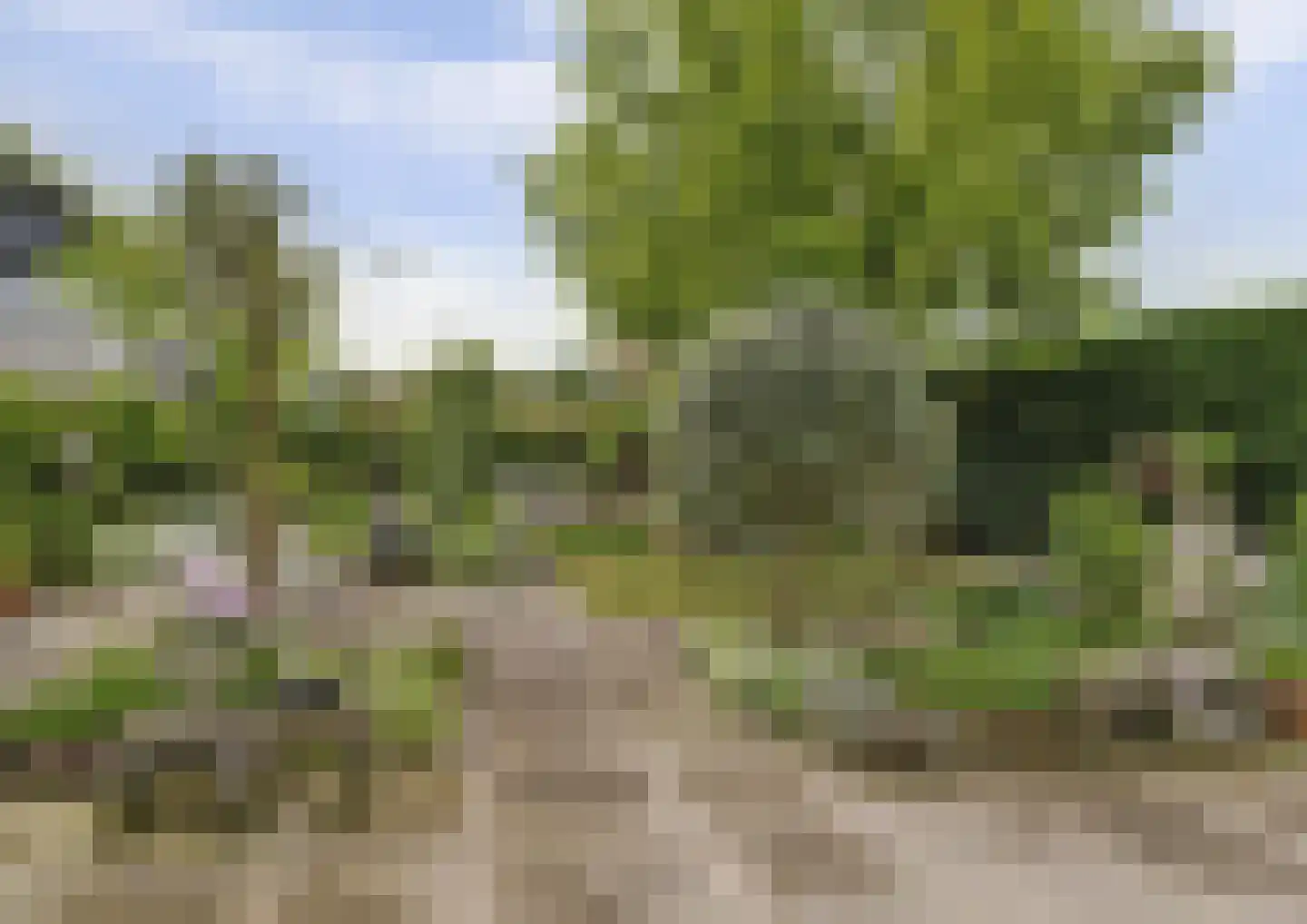 Bizetstraat 13 Elst thumbnail 8