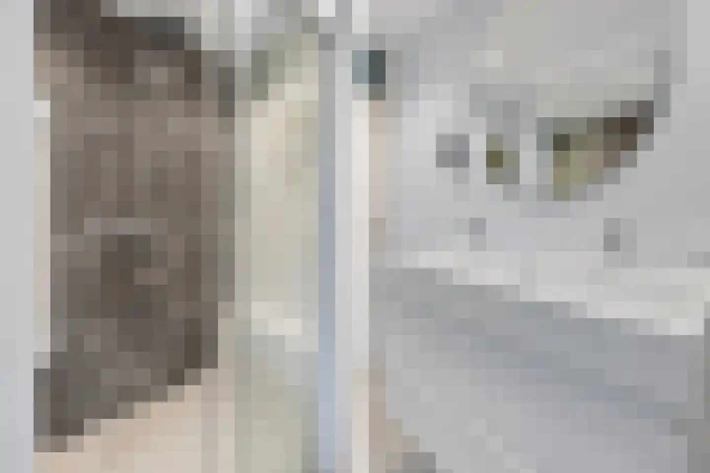 Bizetstraat 14 Almere thumbnail 23