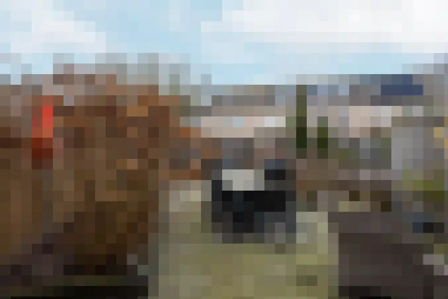 Bizetstraat 14 Almere thumbnail 29