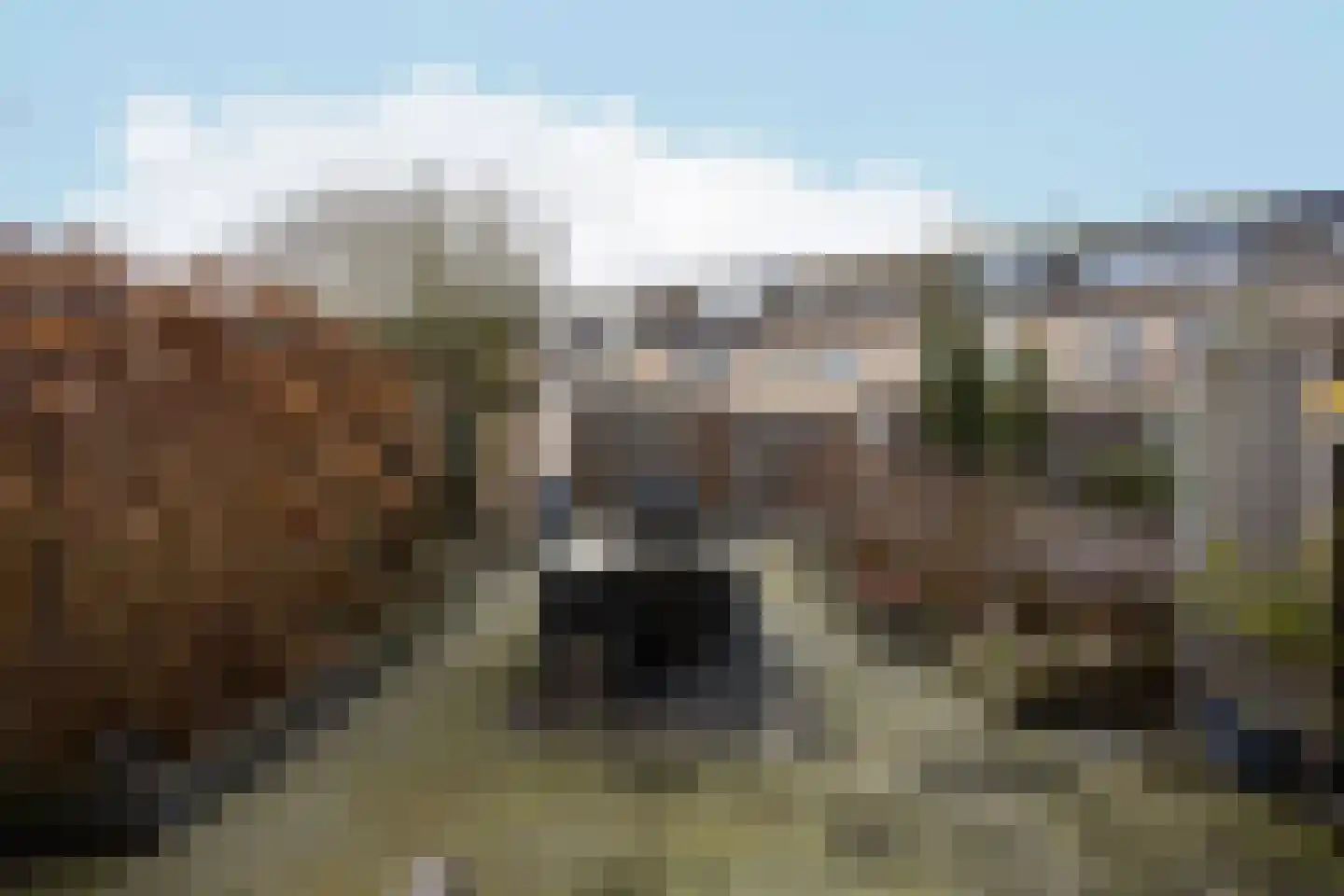 Bizetstraat 14 Almere thumbnail 30