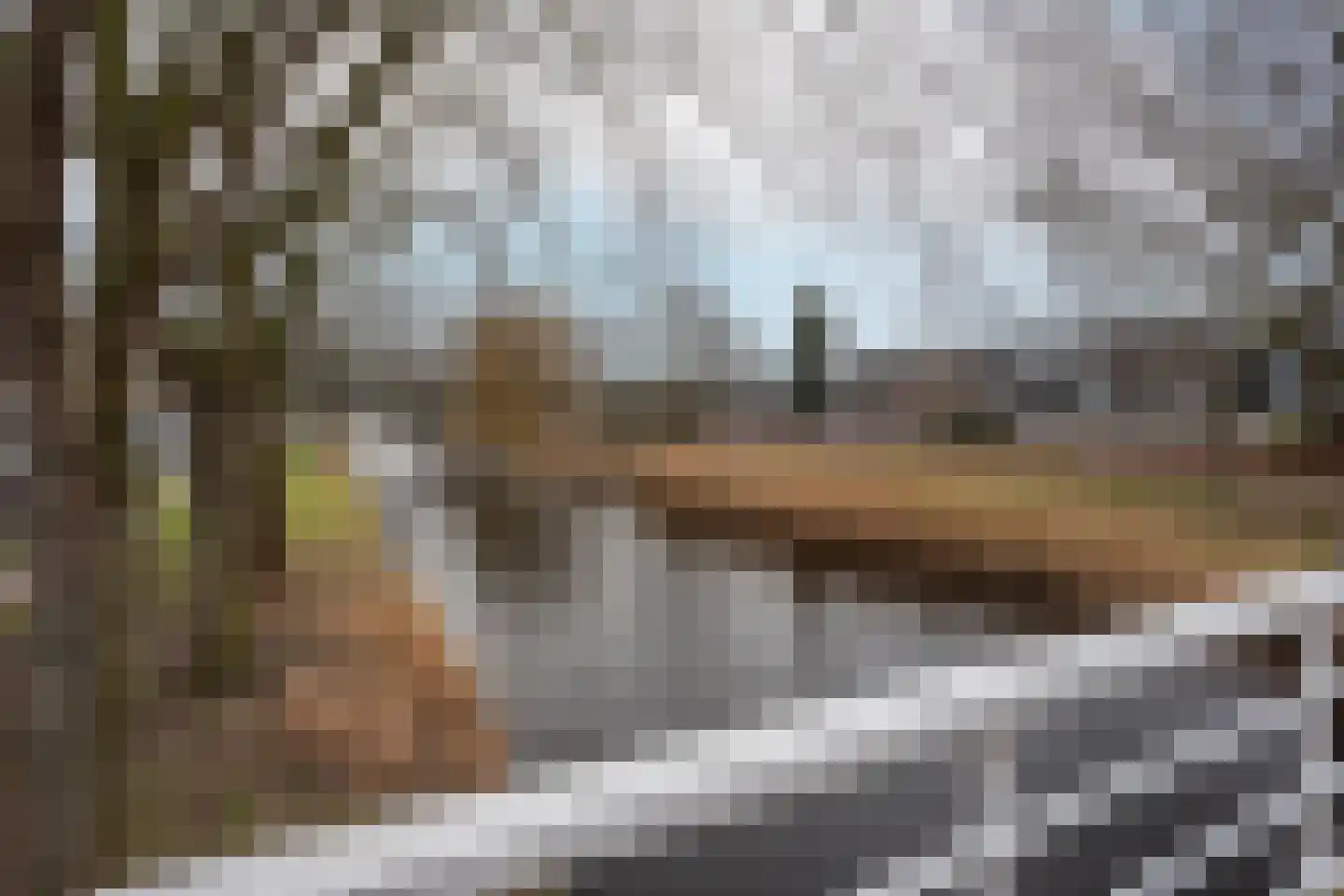 Bizetstraat 14 Almere thumbnail 38