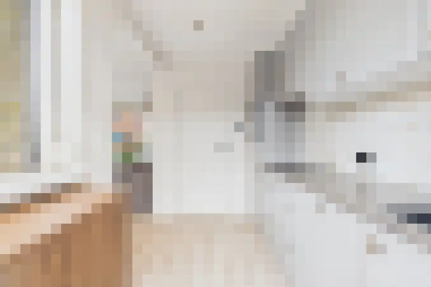 Bizetstraat 14 Axel thumbnail 10