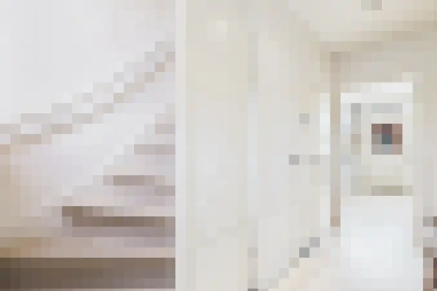 Bizetstraat 14 Axel thumbnail 11
