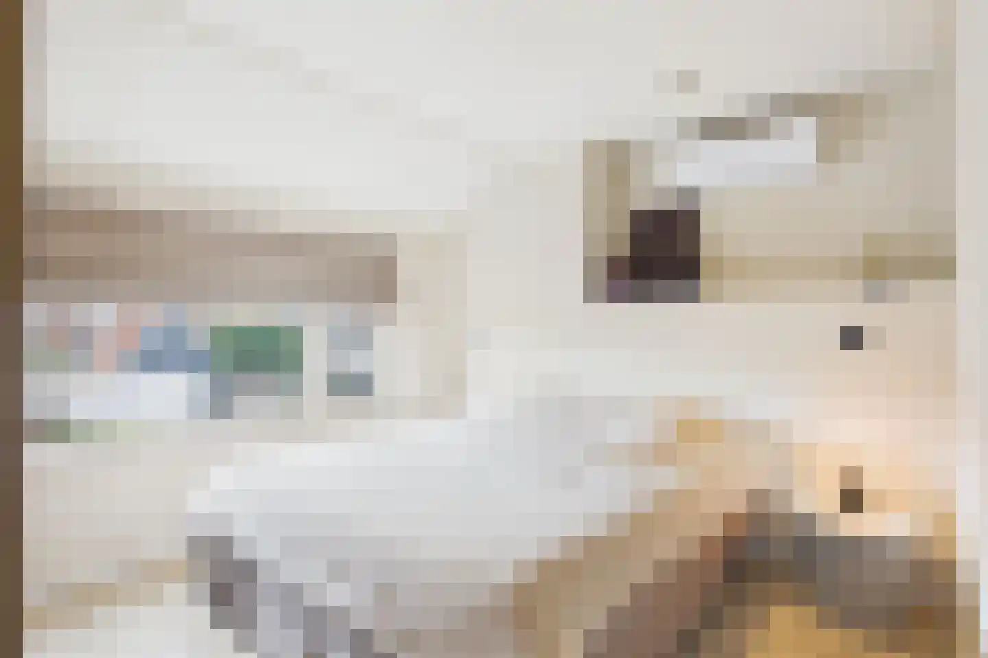 Bizetstraat 14 Axel thumbnail 12