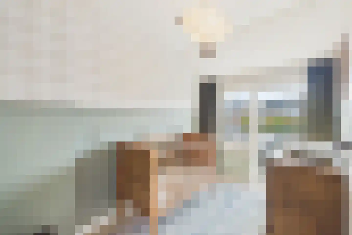 Bizetstraat 14 Axel thumbnail 16