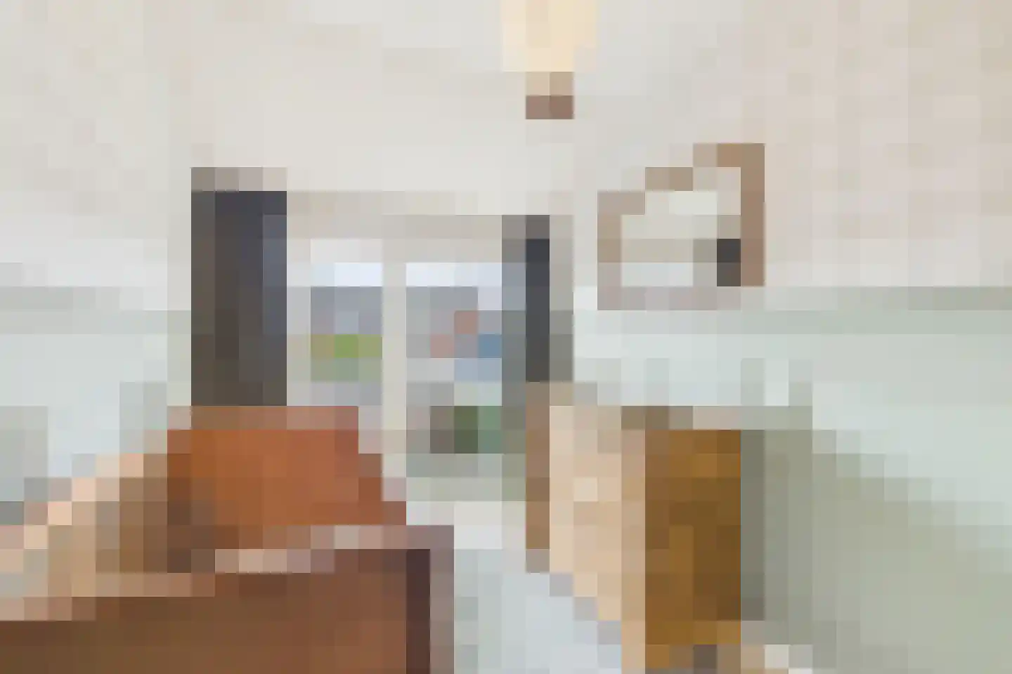 Bizetstraat 14 Axel thumbnail 17