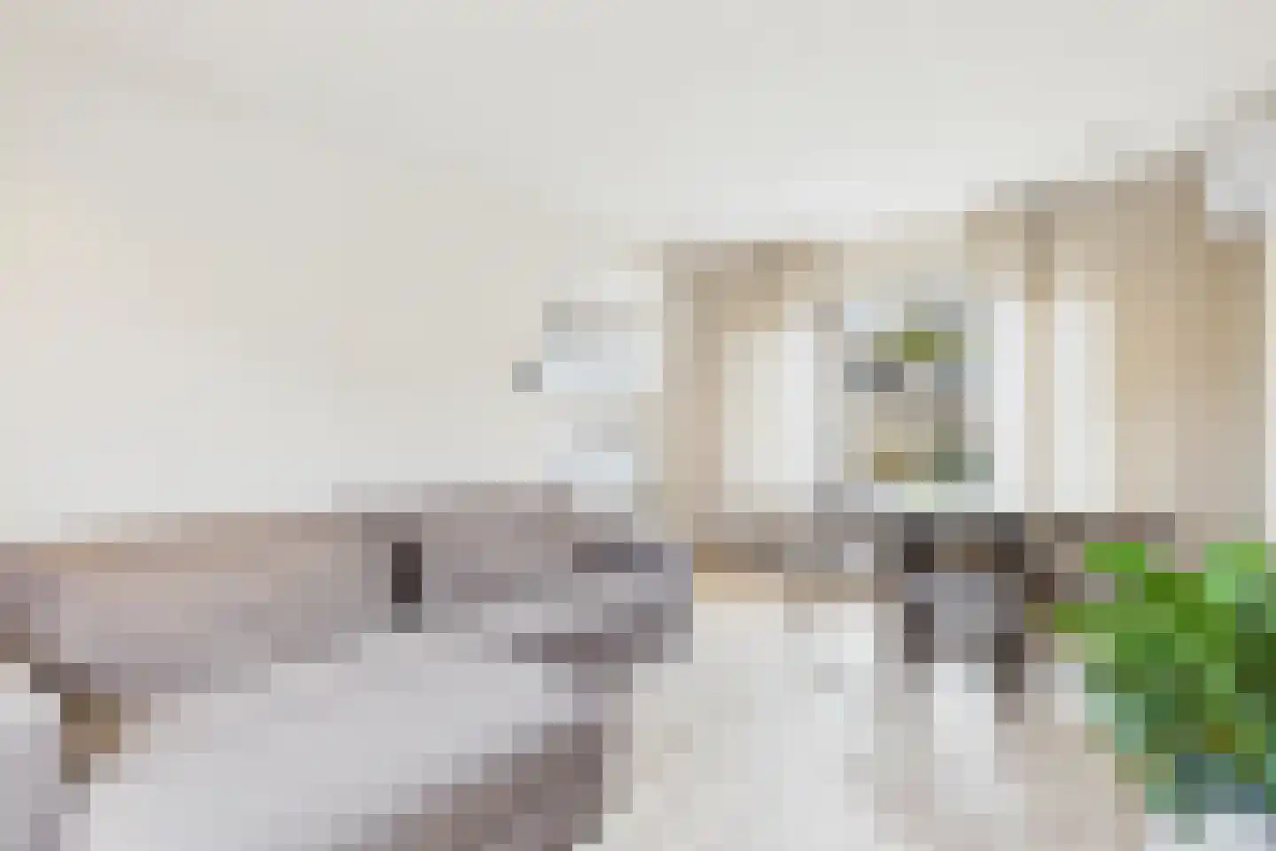 Bizetstraat 14 Axel thumbnail 8