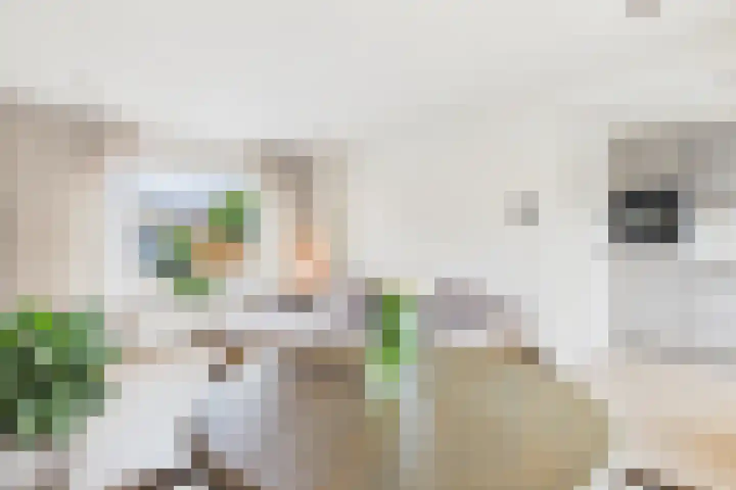 Bizetstraat 14 Axel thumbnail 9