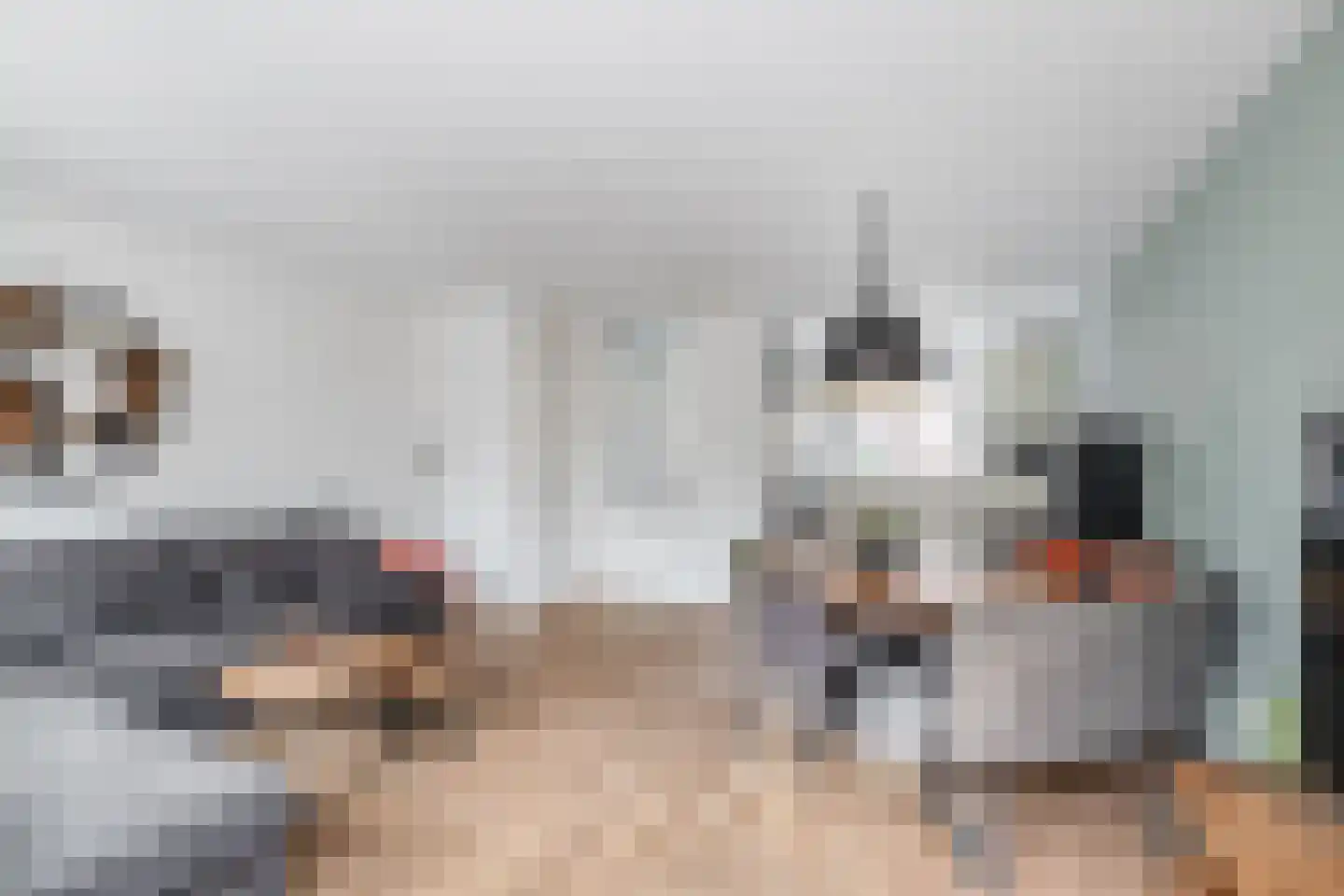 Bizetstraat 16 Spijkenisse thumbnail 13