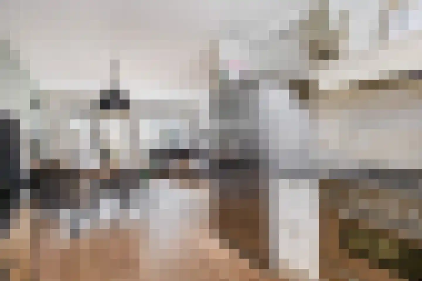 Bizetstraat 16 Spijkenisse thumbnail 16