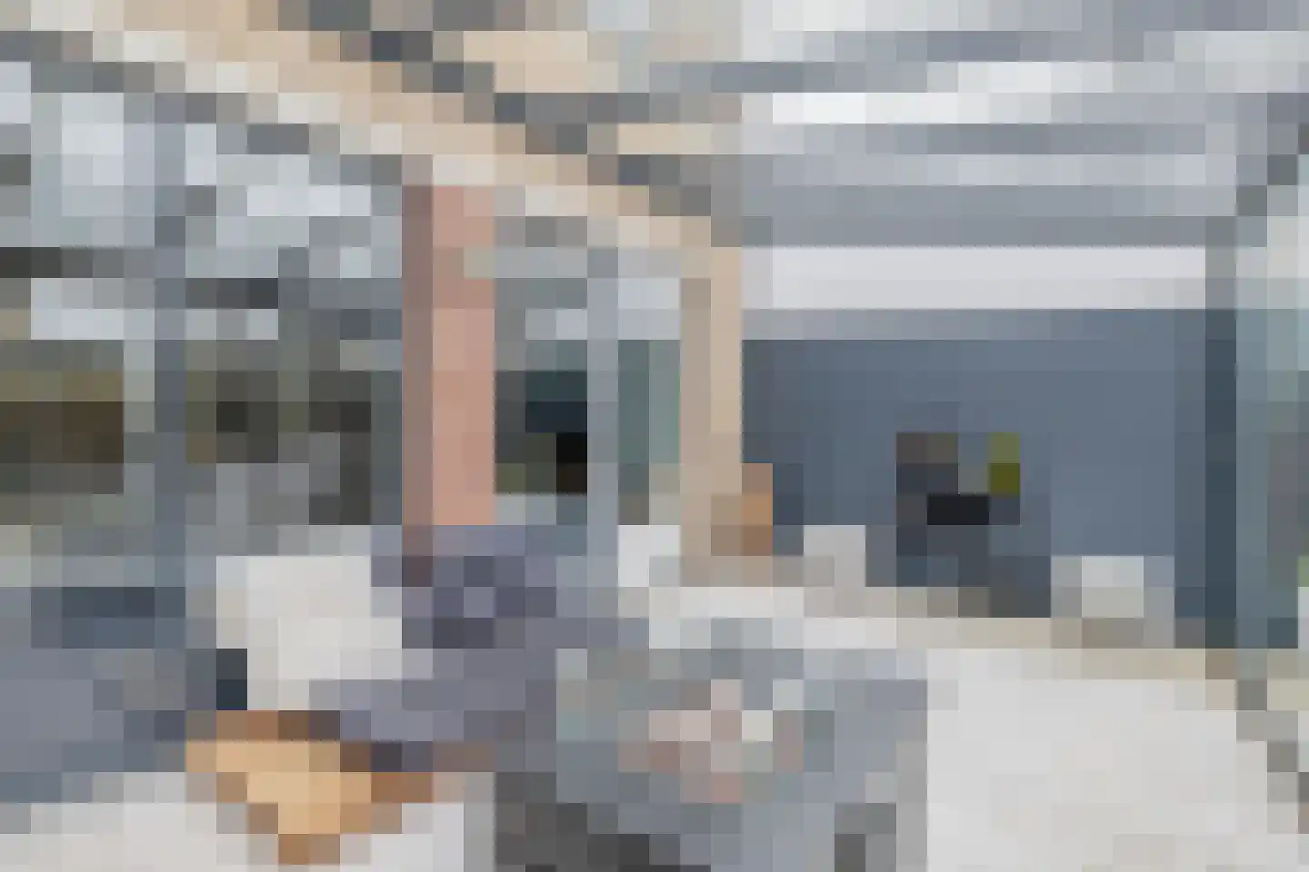 Bizetstraat 16 Spijkenisse thumbnail 18