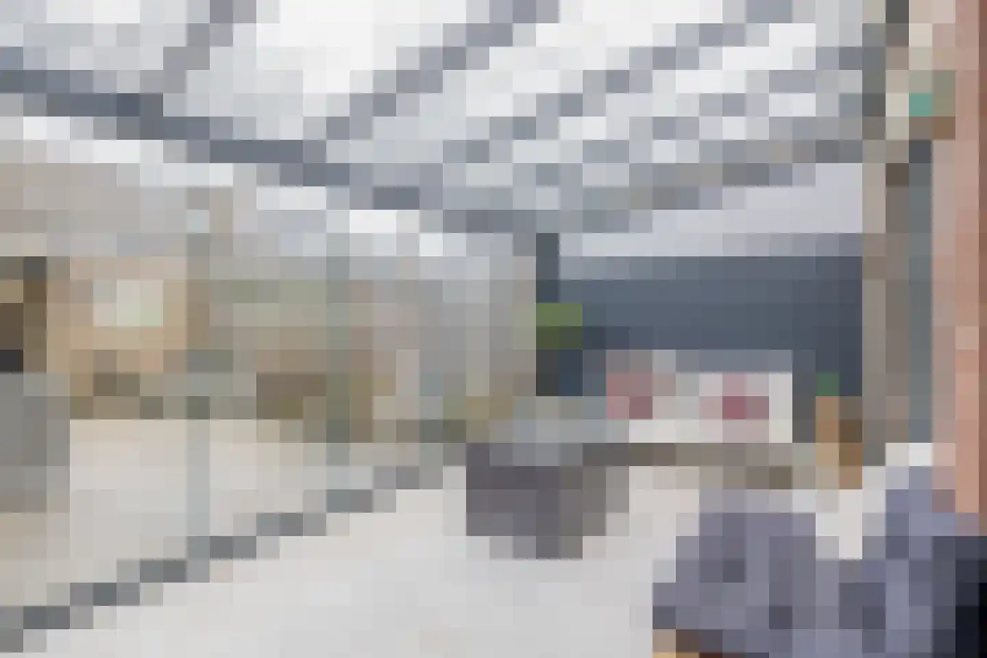 Bizetstraat 16 Spijkenisse thumbnail 19