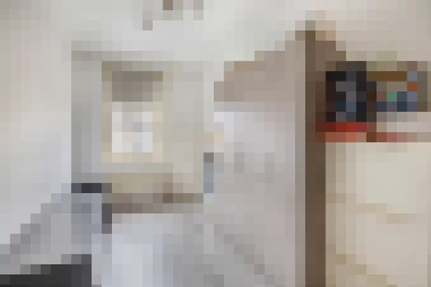 Bizetstraat 16 Spijkenisse thumbnail 30