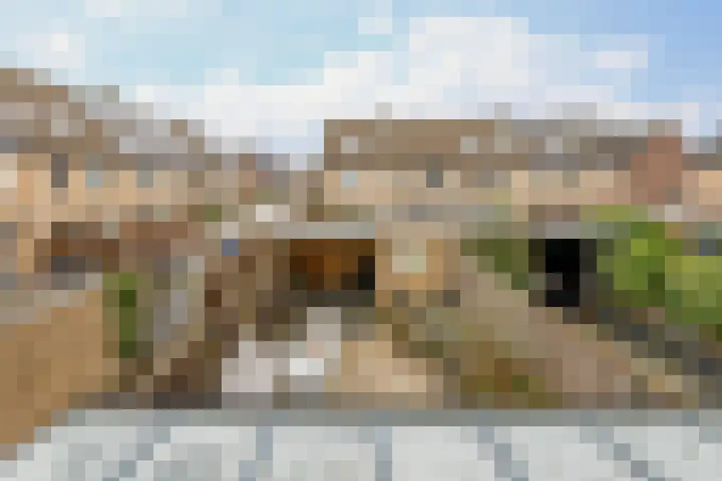 Bizetstraat 16 Spijkenisse thumbnail 35