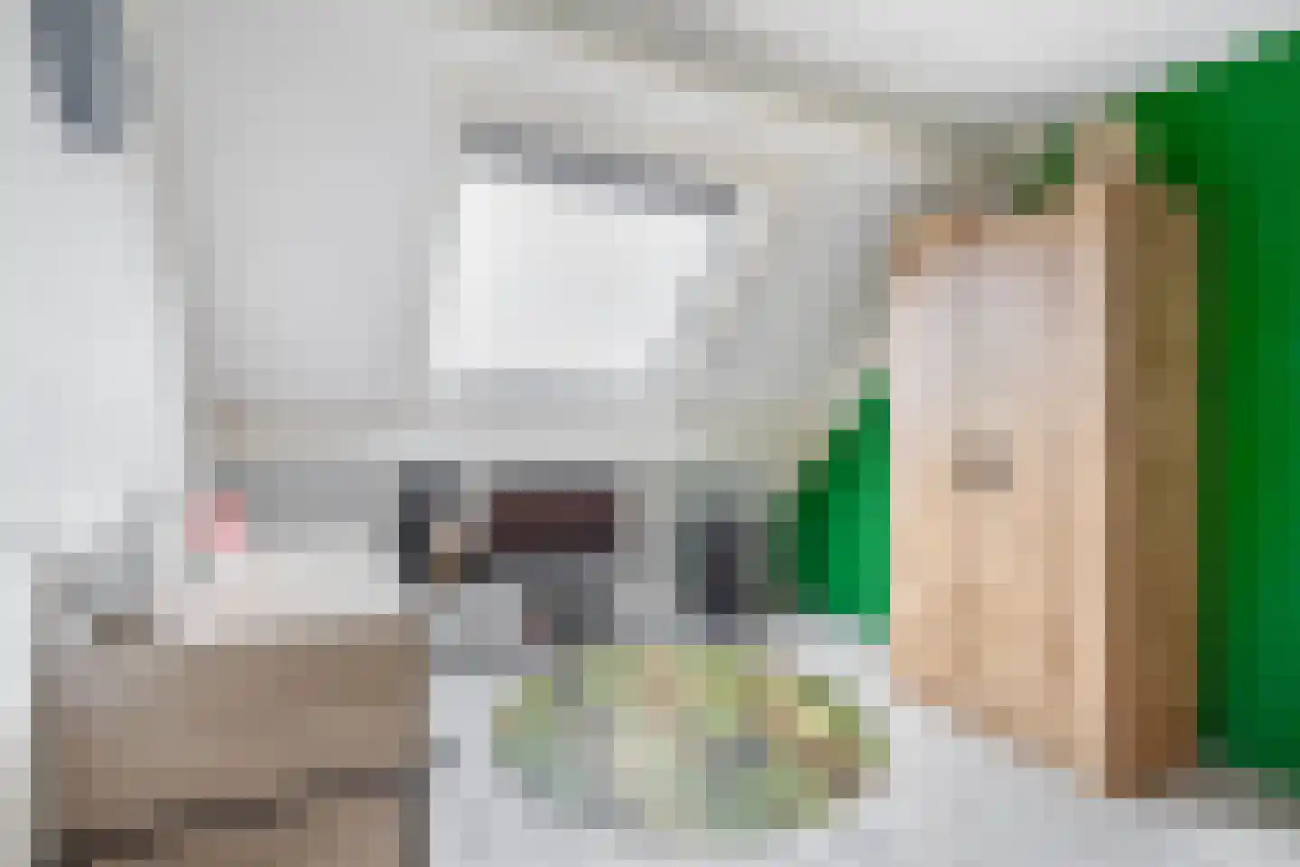 Bizetstraat 16 Spijkenisse thumbnail 38