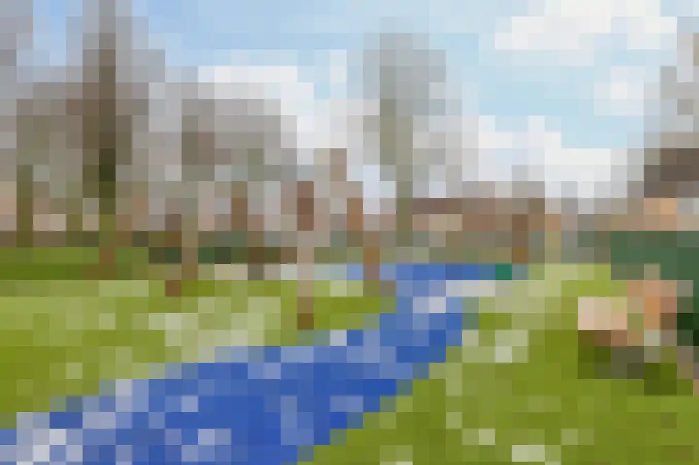 Bizetstraat 16 Spijkenisse thumbnail 41