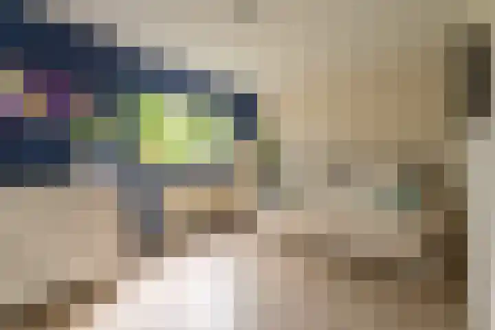 Bizetstraat 17 Voorhout thumbnail 11