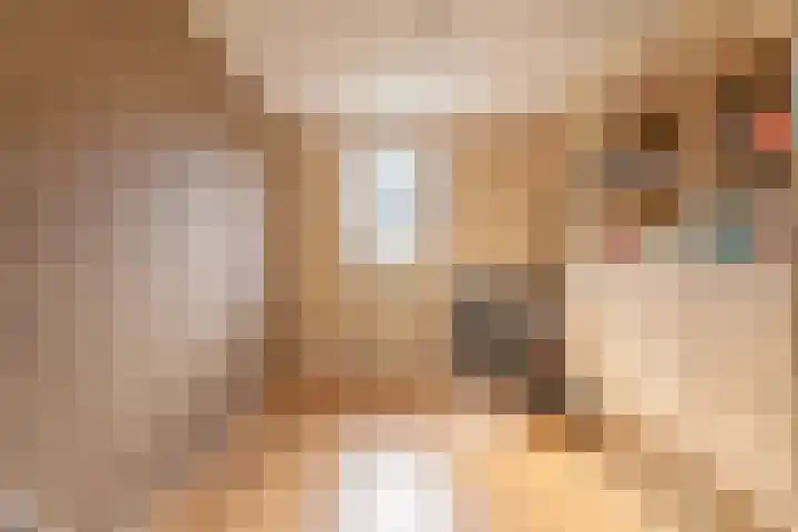 Bizetstraat 17 Voorhout thumbnail 13