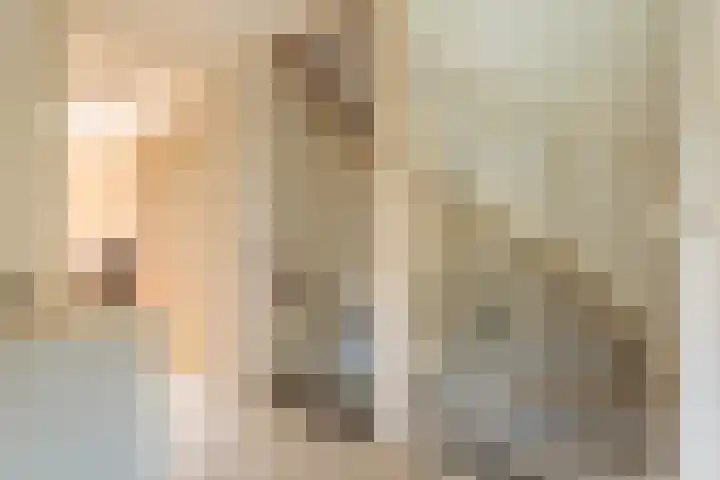 Bizetstraat 17 Voorhout thumbnail 18