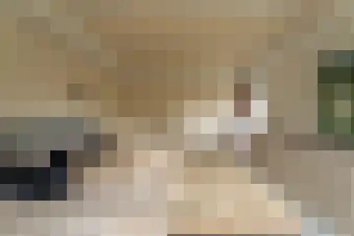 Bizetstraat 17 Voorhout thumbnail 20