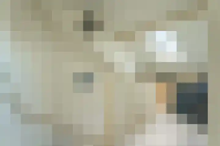 Bizetstraat 17 Voorhout thumbnail 25