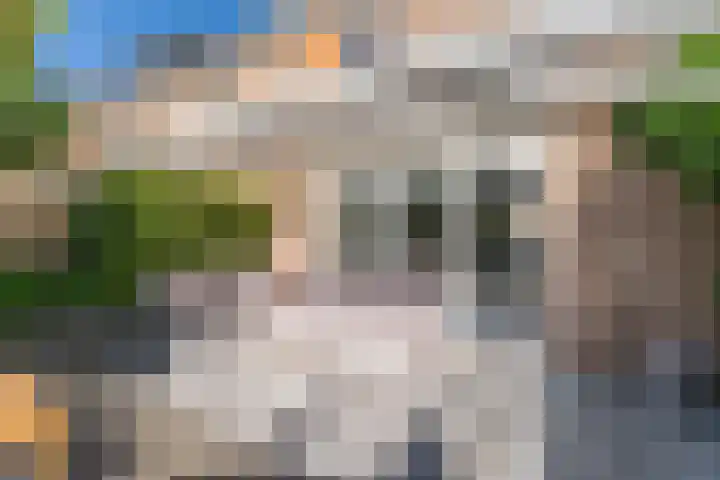 Bizetstraat 17 Voorhout thumbnail 29