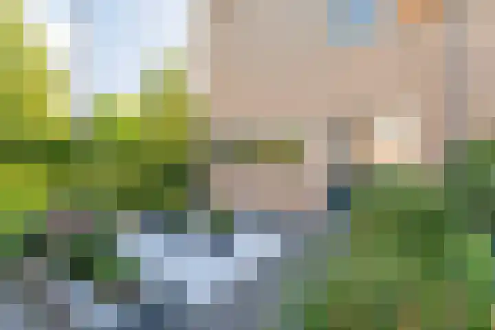 Bizetstraat 17 Voorhout thumbnail 31
