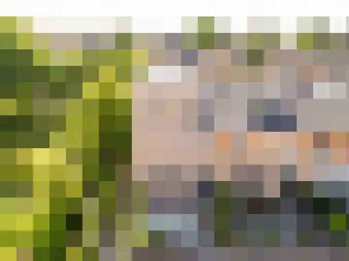 Bizetstraat 17 Voorhout thumbnail 33
