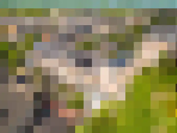 Bizetstraat 17 Voorhout thumbnail 36
