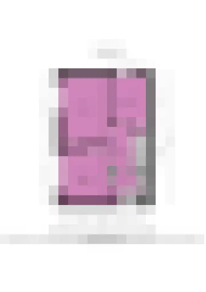 Bizetstraat 17 Voorhout thumbnail 38
