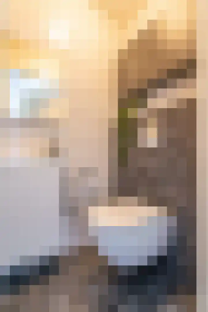 Bizetstraat 17 Voorhout thumbnail 9