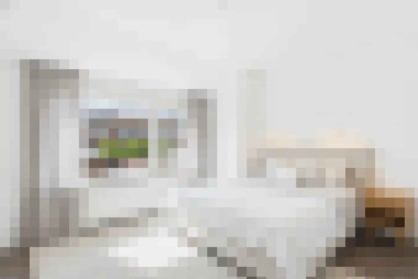 Bizetstraat 18 Axel thumbnail 4