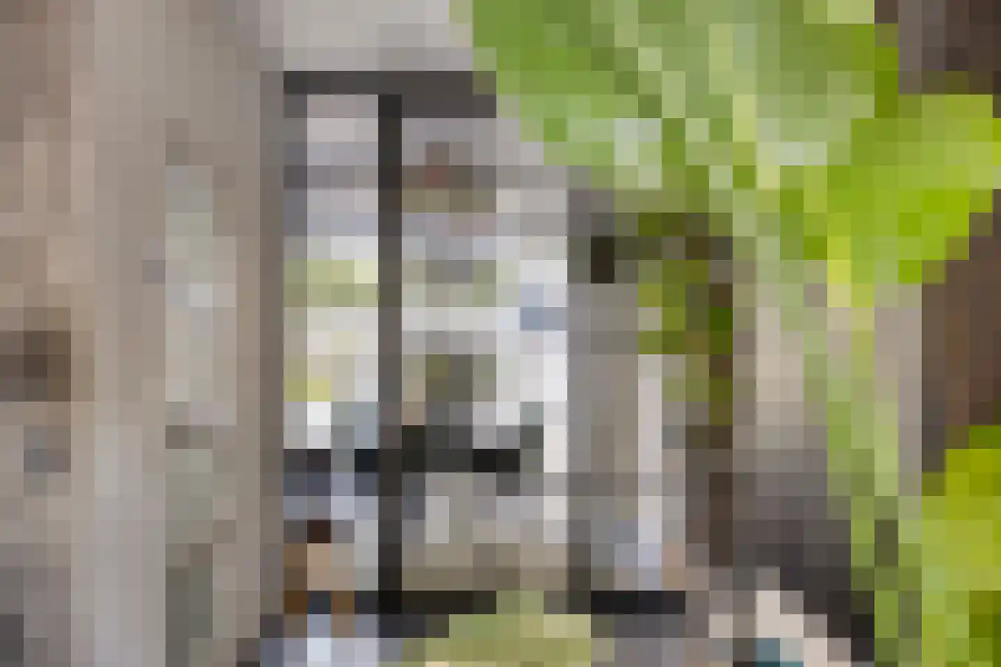 Bizetstraat 22 Haaksbergen thumbnail 16