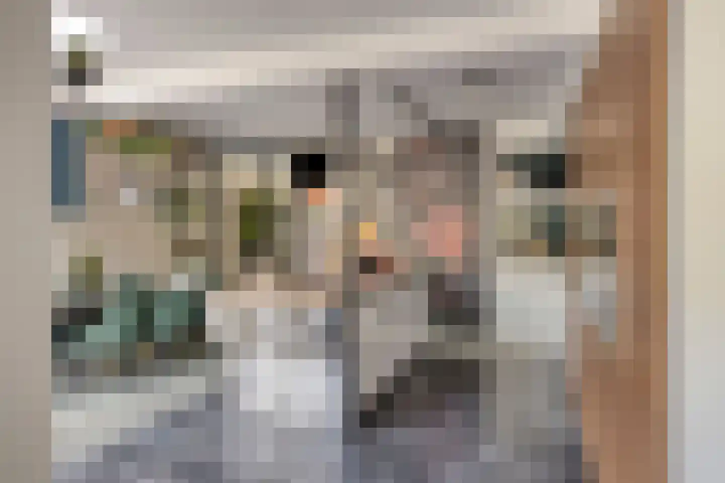 Bizetstraat 22 Haaksbergen thumbnail 20