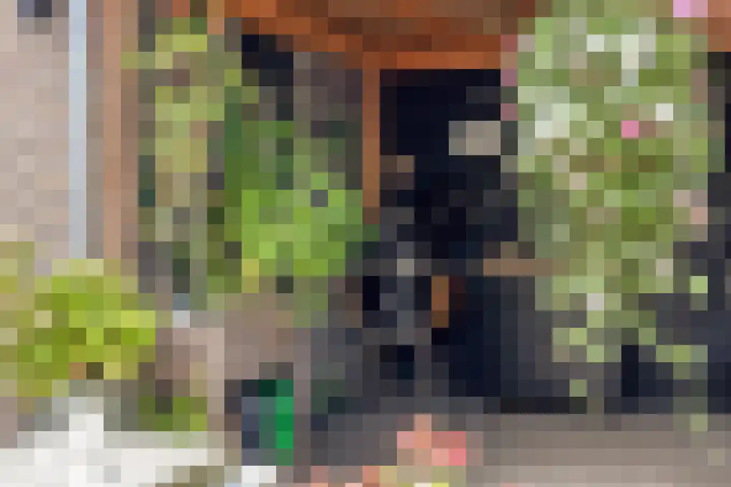 Bizetstraat 22 Haaksbergen thumbnail 27