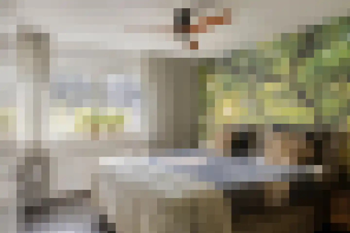 Bizetstraat 22 Haaksbergen thumbnail 35