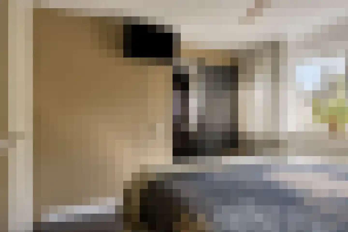 Bizetstraat 22 Haaksbergen thumbnail 36