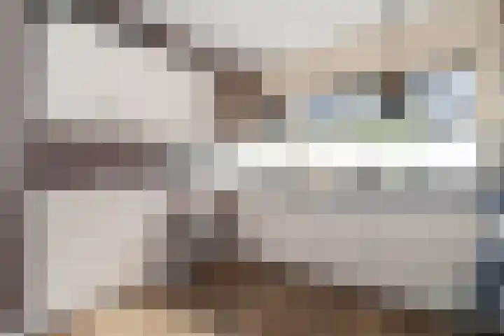 Bizetstraat 29 Bunschoten-Spakenburg thumbnail 8