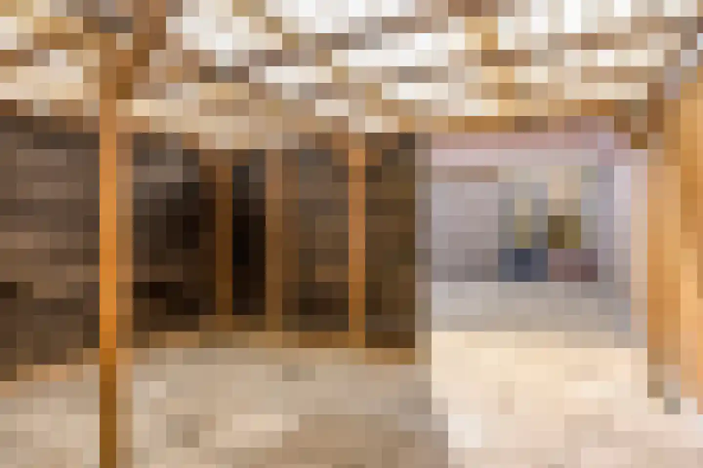 Bizetstraat 32 Nijverdal thumbnail 25