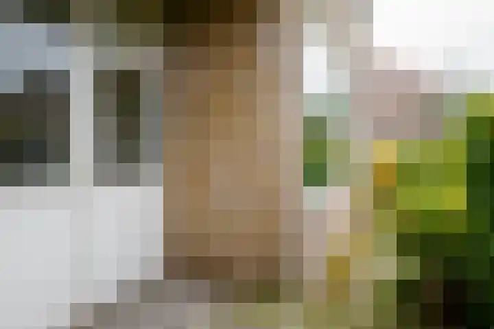 Bizetstraat 34 Almelo thumbnail 22