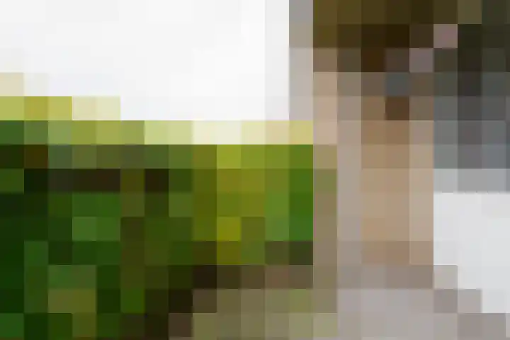 Bizetstraat 34 Almelo thumbnail 23